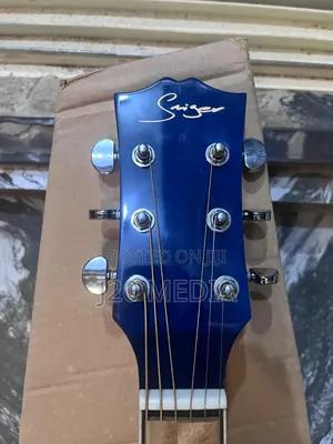 Semi Acoustic Guitar