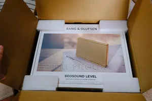 Bang and Olufsen Beosound Level