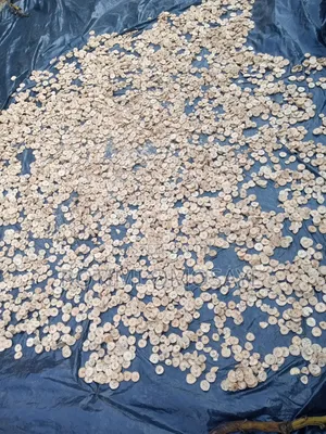 Clean Sun Dried Plantain Flour – Bulk Available