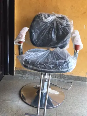 Salon Chair