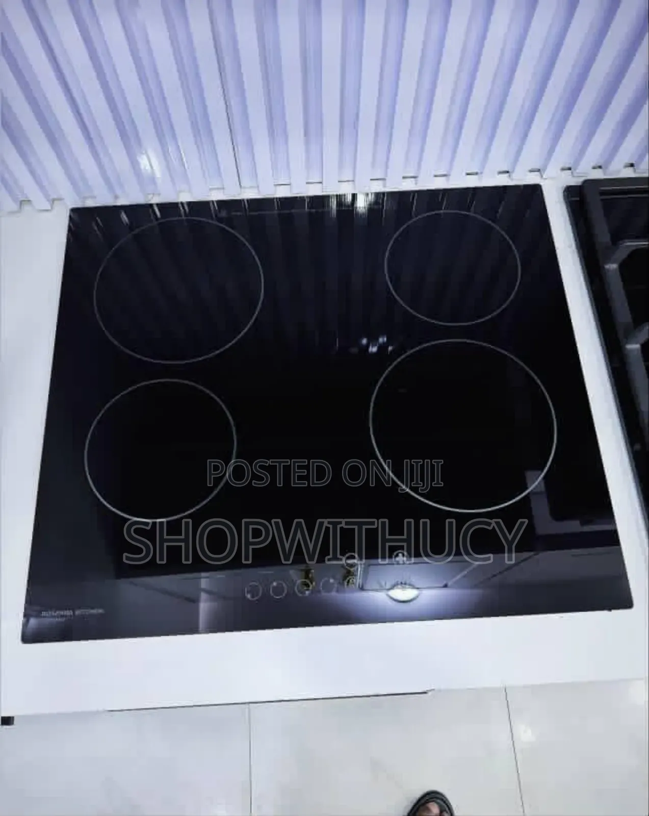 Inbuilt 4 Burner Electric Hotplate.