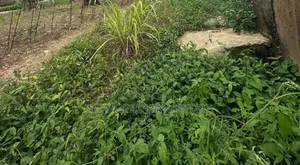 1200sqm Parcel of Residential Land at Ologuneru Off Eleyele Ibadan