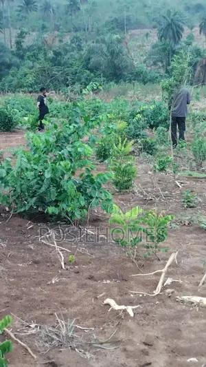 Land With Genuine Register Survey