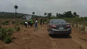 Land With Genuine Register Survey