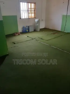 Large Rug for Sale