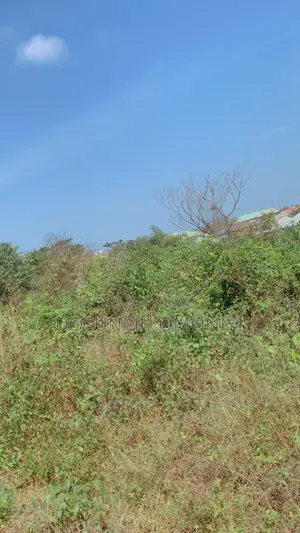 Land at Osiele, Kinleyin Road. 60/120