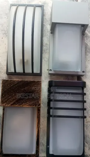 Wall Security Light