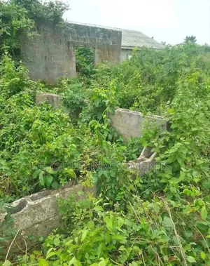 Full Plot for Sale at Giveaway in Ago-Palace Way