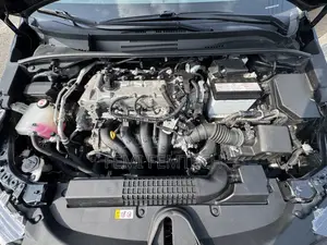 Toyota Corolla LE 2021 Black