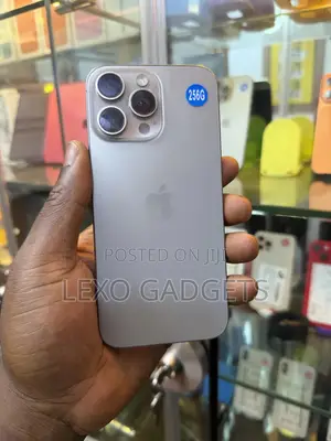 Apple iPhone 16 Pro Max 256 GB Silver
