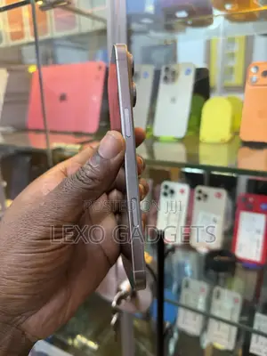 Apple iPhone 16 Pro Max 256 GB Silver