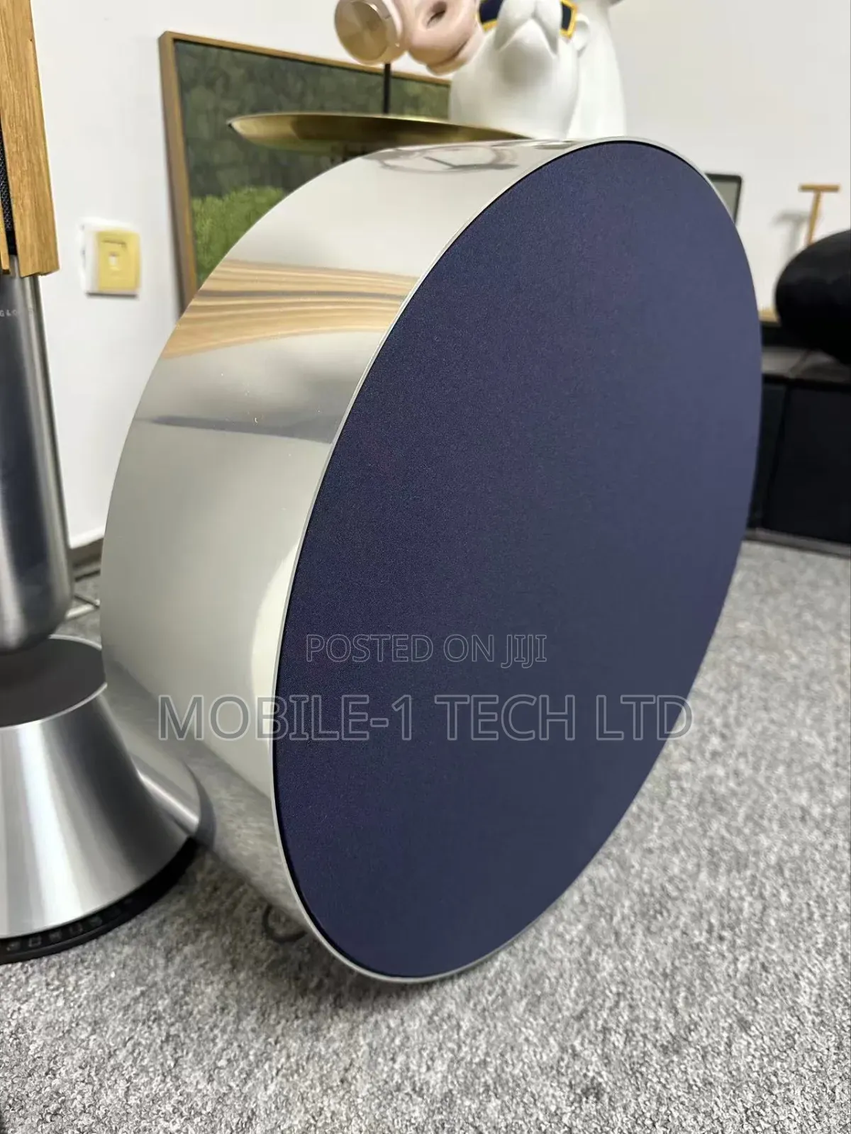 Bang and Olufsen Beosound Edge