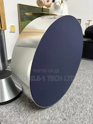 Bang and Olufsen Beosound Edge