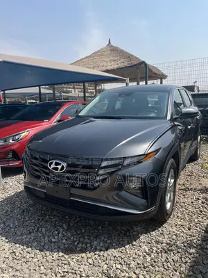 Hyundai Tucson Limited 2022 Gray
