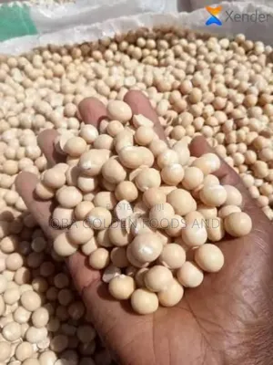 A Bag of Okpa Seed