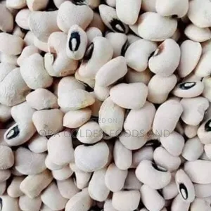 Bag of White Iron Beans