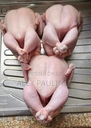 Frozen Chicken
