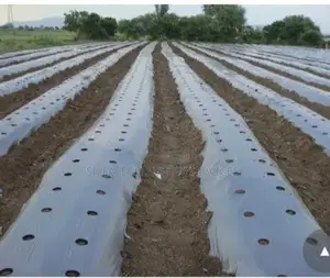 Mulching Film (1.2m X 500m)