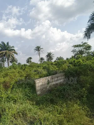 One and Two Plot of Land for Sale Within Airport Junction Off Omagwa