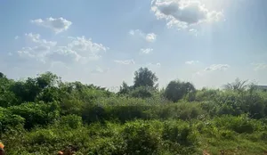 Farmland for Sale