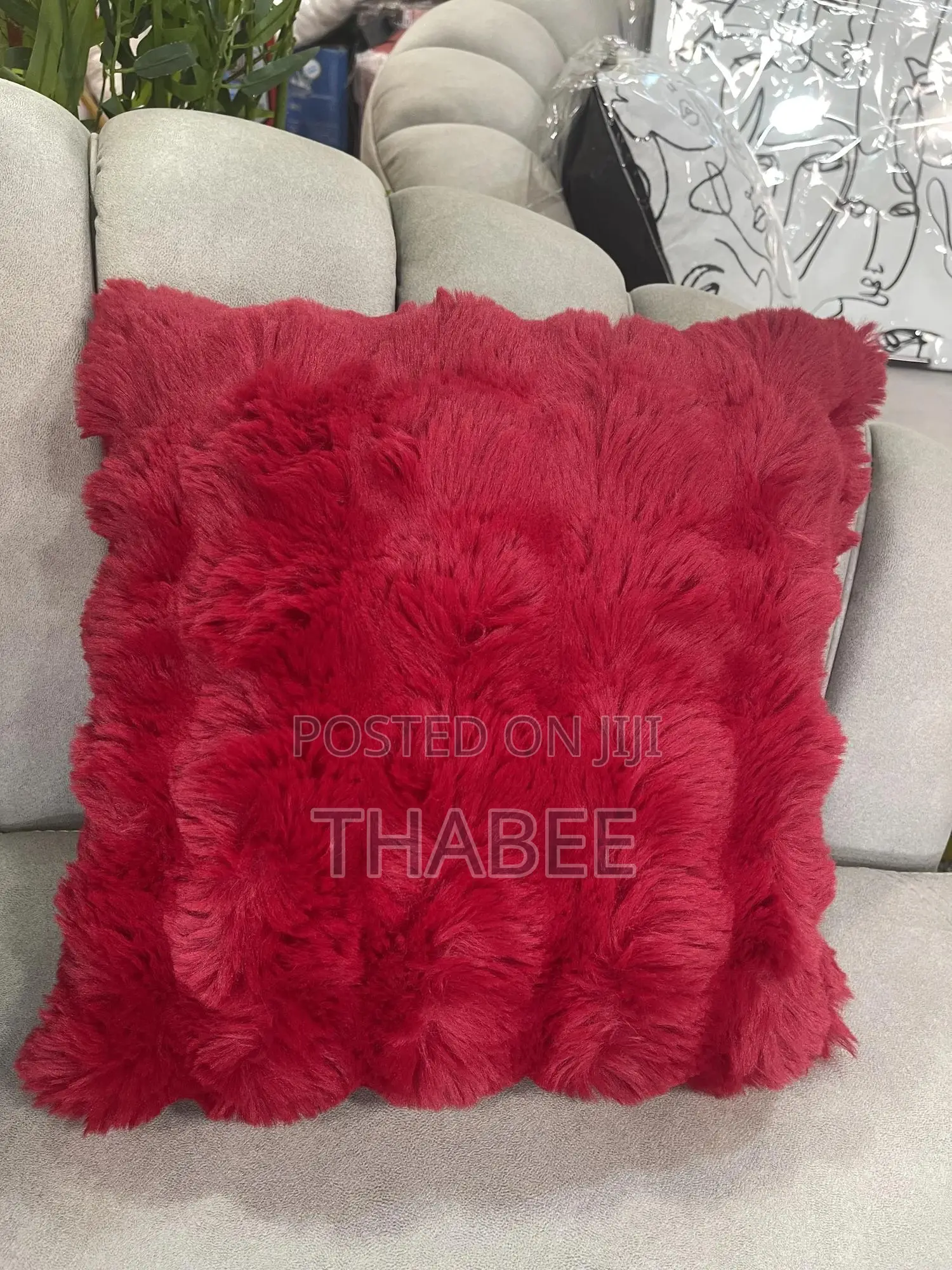 Throw Pillows Red