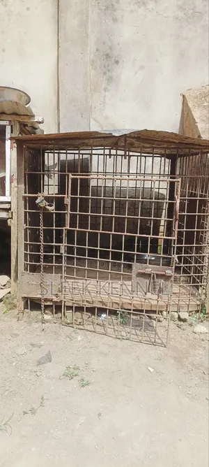 Large Used Dog Cage for Sale