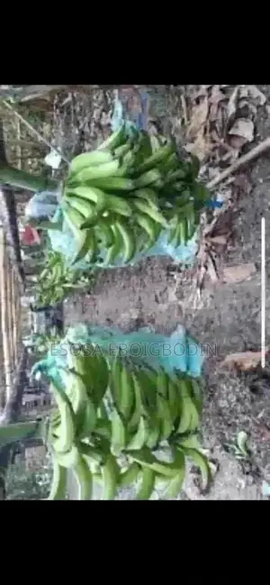 Farmland To Rent Or Lease