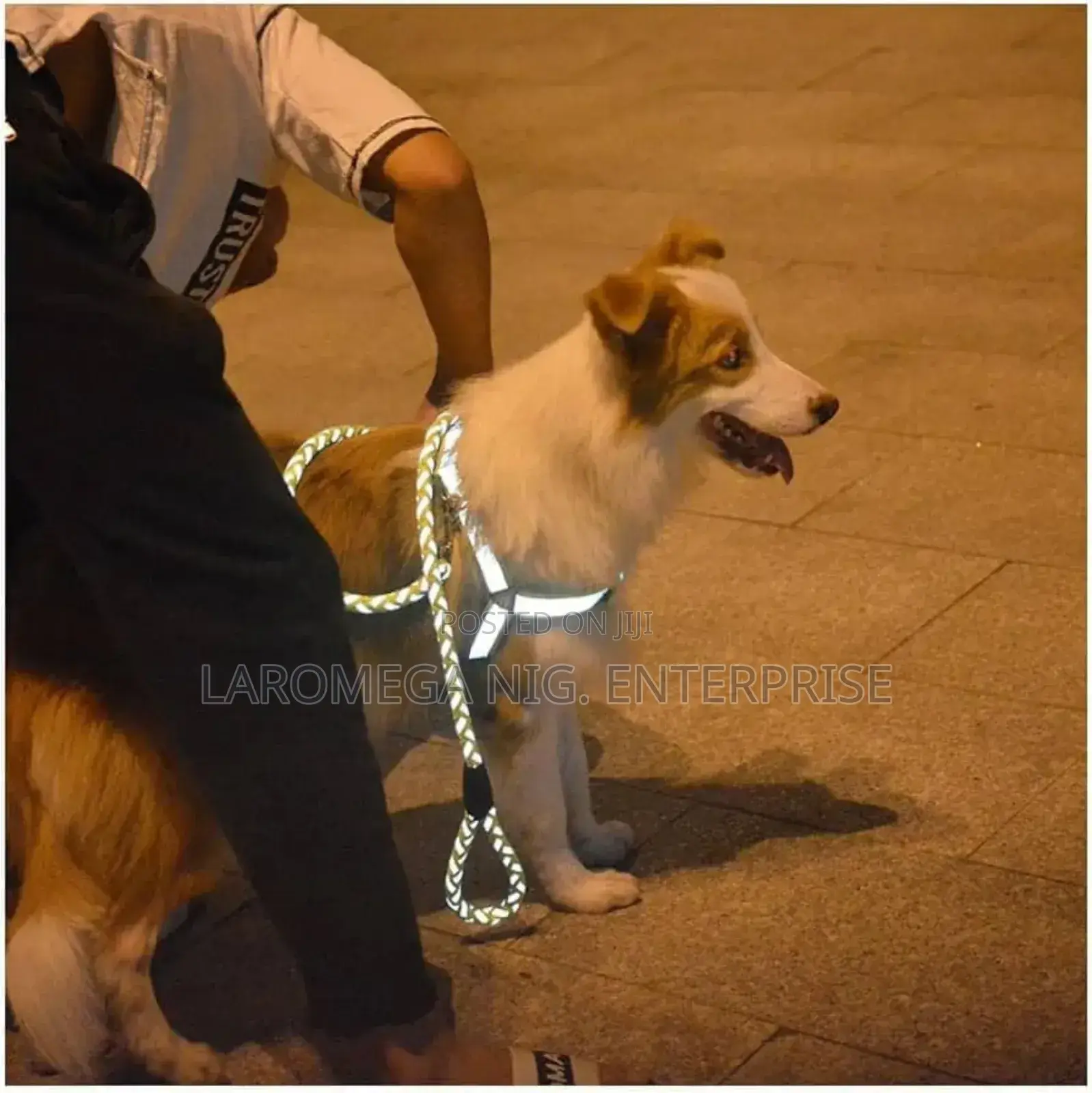Premium Reflective Dog Harness – No-Pull Safety Leash S