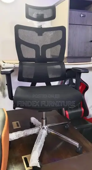 Ergonomic Office Chair