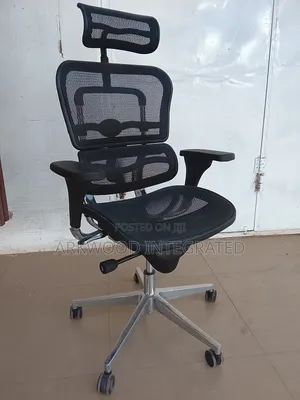 Ergonomic Mesh Chair With Adjustable Support & Seat, Big Mechanism