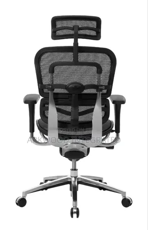 Ergonomic Mesh Chair With Adjustable Support & Seat, Big Mechanism