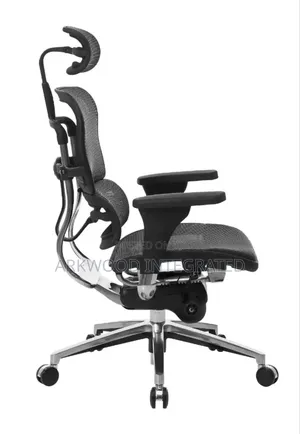 Ergonomic Mesh Chair With Adjustable Support & Seat, Big Mechanism