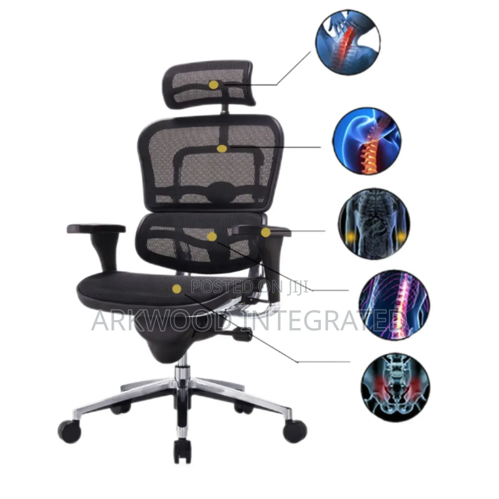 Ergonomic Mesh Chair With Adjustable Support & Seat, Big Mechanism