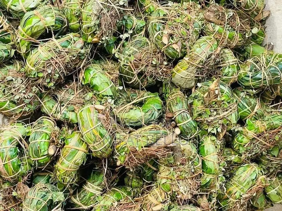 Ajumbaise Tea