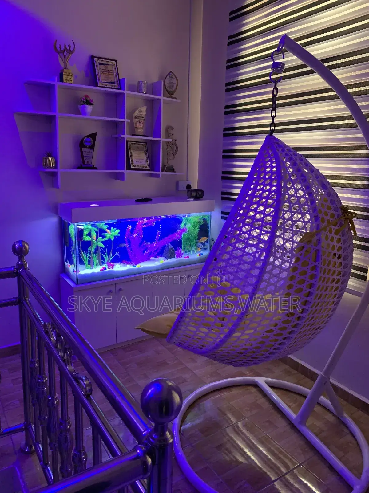 4ft Standing Aquarium