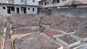 Construction and Project Management