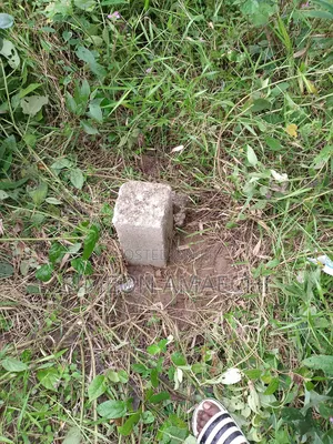Land Property