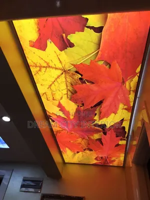 3d Interior Stretch Ceiling