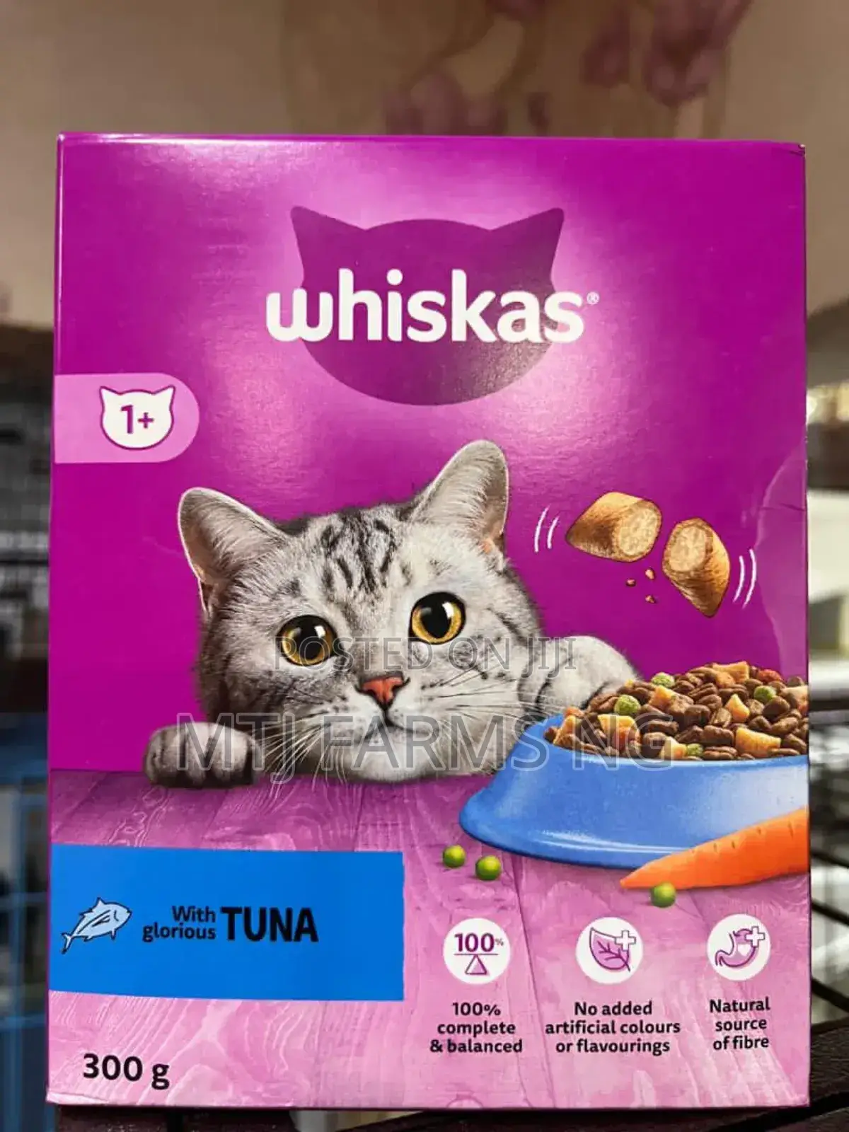 Cats Feed Available for Sale