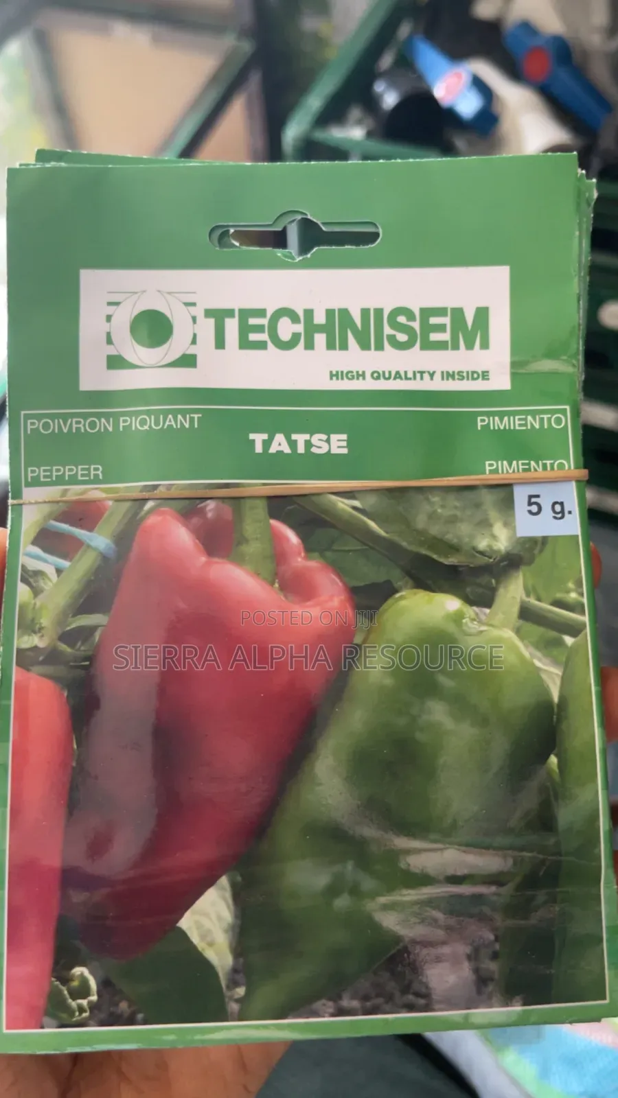 Tatase Seeds