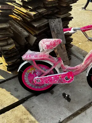 20 Inch Princess Durable Bicycle