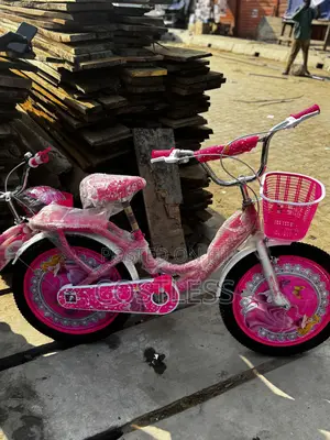 20 Inch Princess Durable Bicycle