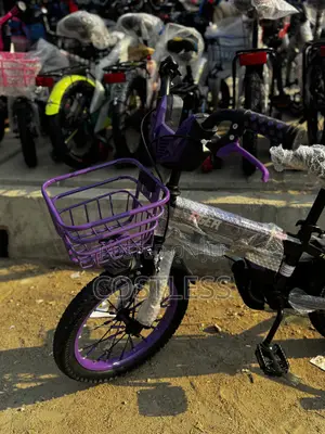 Tiger Kids' Bicycle With Training Wheels
