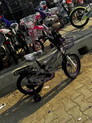 Tiger Kids' Bicycle With Training Wheels