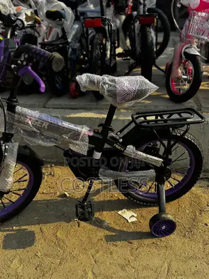 Tiger Kids' Bicycle With Training Wheels