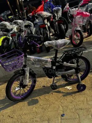 Tiger Kids' Bicycle With Training Wheels