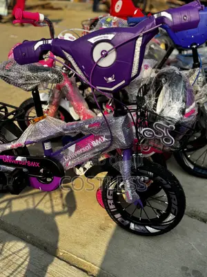 Unisex Purple Kiddies Bicycle