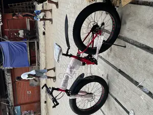 Mountain Fat-Tire Bike