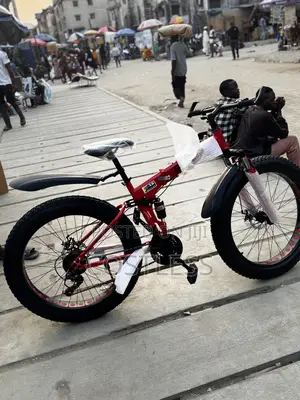 Mountain Fat-Tire Bike