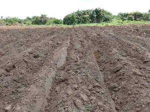 Tractor Services
